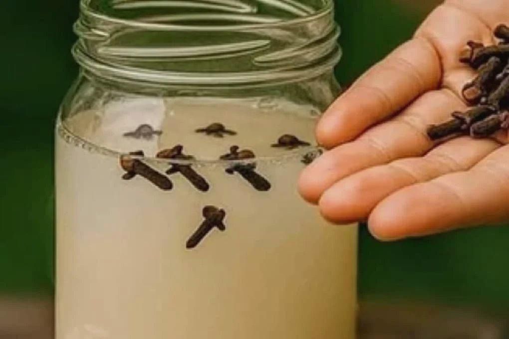 Pot met water en kruidnagels